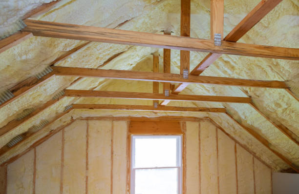 Best Commercial Insulation in Hudson Bend, TX