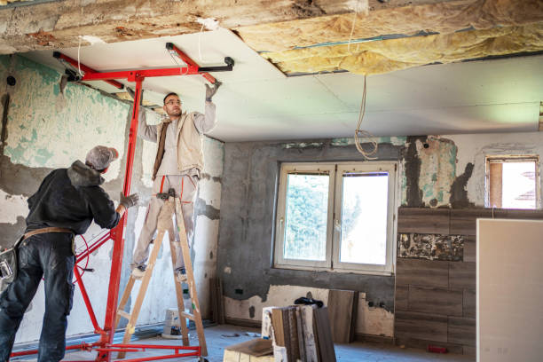 Best Cellulose Insulation in Hudson Bend, TX