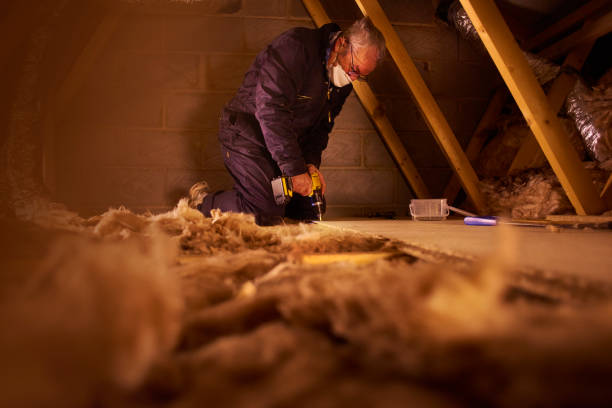 Best Eco-Friendly Insulation in Hudson Bend, TX